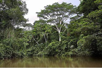 快手宣布为周杰伦直播申请世界纪录：预约人数已超666万